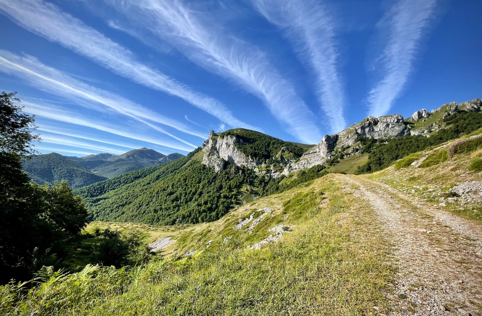 COMENZAMOS EL CURSO 2022-2023