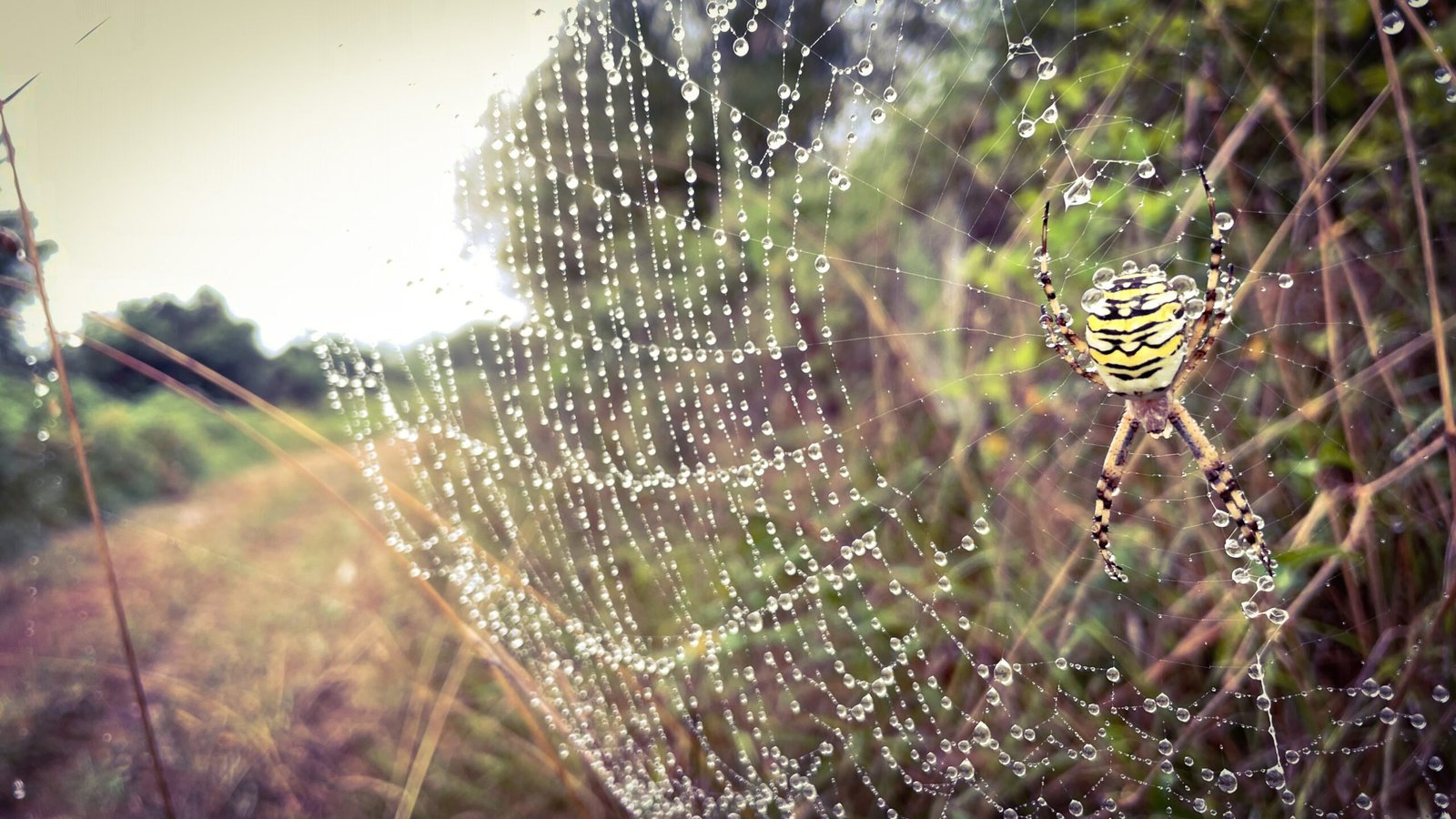 Nueva edición del Máster ArchViz