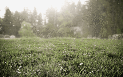 REMAKE 2020 DE UN CLÁSICO.